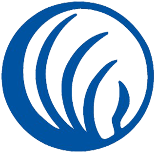 NAMI Georgia Logo
